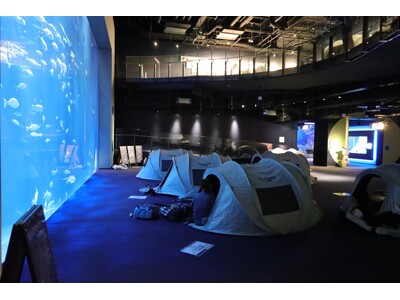 四国水族館でのキャンプ体験！夜の水族館『Nightscape Camp2026秋』を開催します