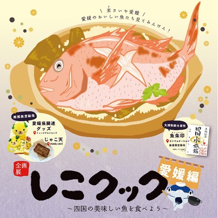 四国の郷土料理にスポットを当てた企画展第3弾！『しこクック ～四国の美味しい魚を食べよう 愛媛県編～』