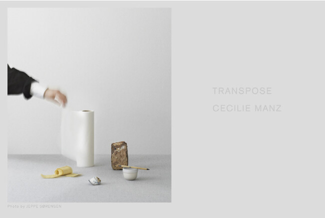 CECILIE MANZ EXHIBITIONTR ANSPOSE 発想のめぐり