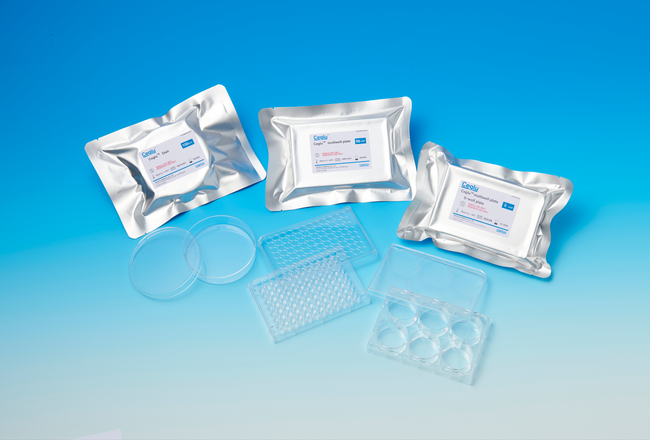 Ceglu(TM) cultureware北米地域での販売開始