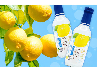 静岡県伊豆・東部の新たな魅力が弾ける！ JAふじ伊豆×木村飲料 『伊豆レモンサイダー』新発売