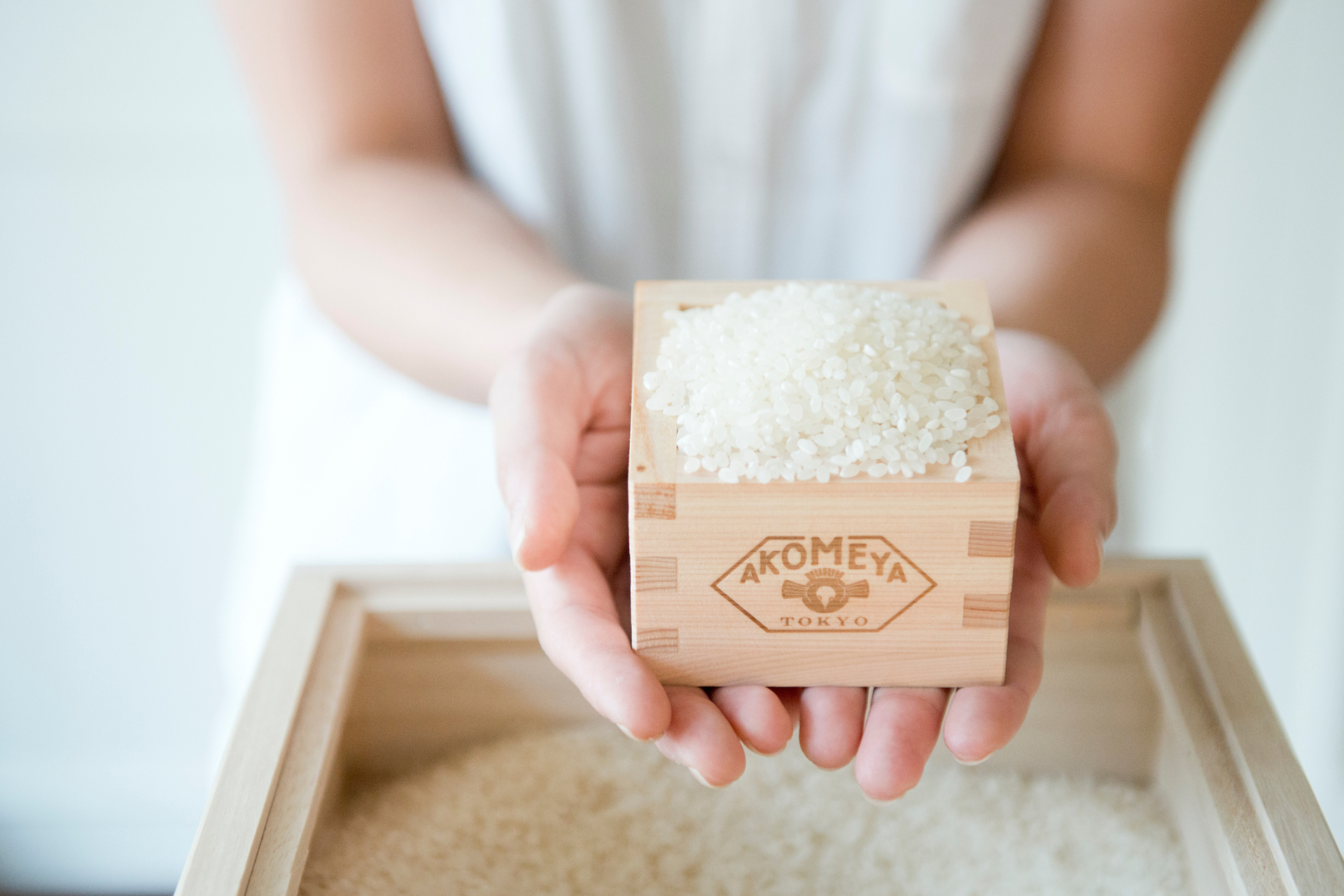 【AKOMEYA TOKYO】新米速報！令和7年度産の“新米” が8月中旬より早くも登場！早場米7銘柄の取扱いを順次開始し新米の魅力を全国の食卓へお届けします。