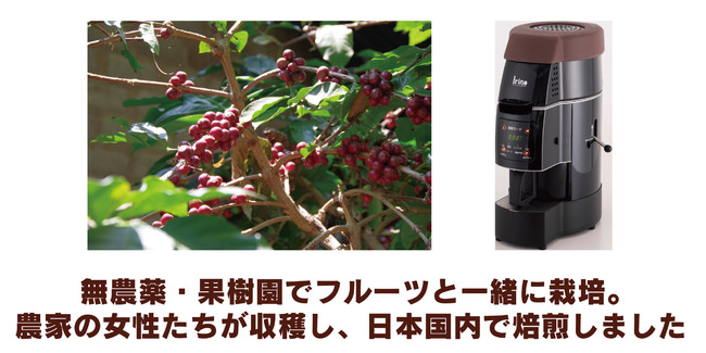 自然農法で栽培されたミャンマーコーヒーを名古屋で販売します