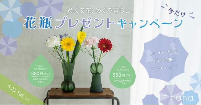 雨の日にも、花を。 +hana「めぐる花、めぐる暮らし。」今だけ花瓶プレゼント キャンペーン