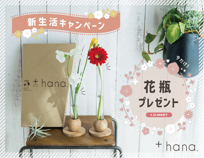 プレスリリース「花を助け、花に助けられる ロスフラワーの定期便 +hana（タスハナ）に新規お申込みで、2025年 春の新生活を彩る もれなく花瓶がもらえる「新生活プレゼントキャンペーン」開催！」のイメージ画像
