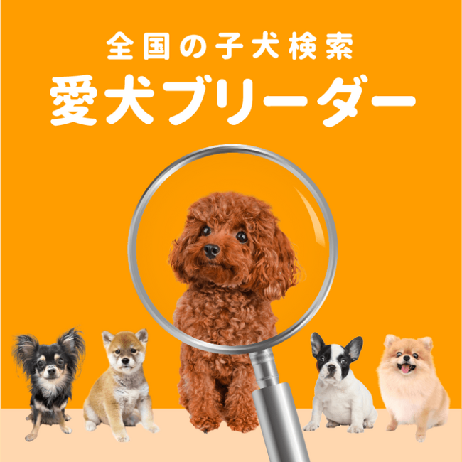 【愛犬ブリーダー】ご成約特典として「ロイヤルカナン製プレミアムフード」＋「ペピイで使えるクーポン2,500円分」プレゼント開始