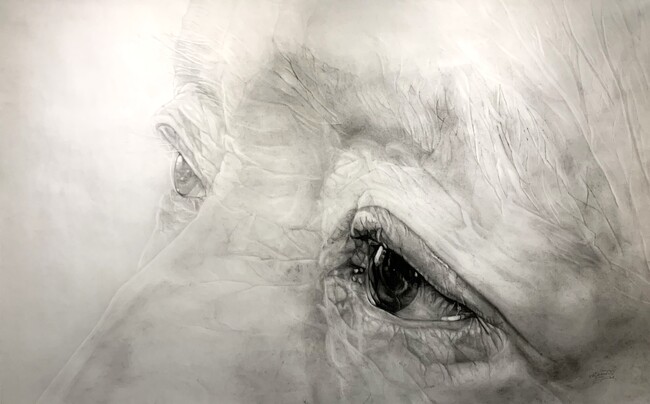 プレスリリース「木下晋氏作品展・講演会」のイメージ画像