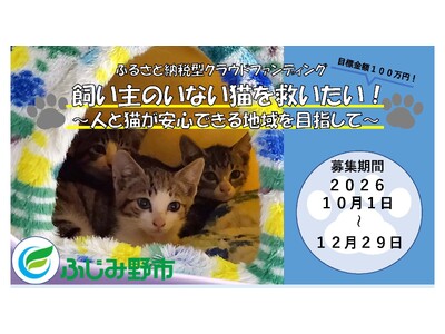 寄付金を飼い主のいない猫の不妊・去勢手術の支援に