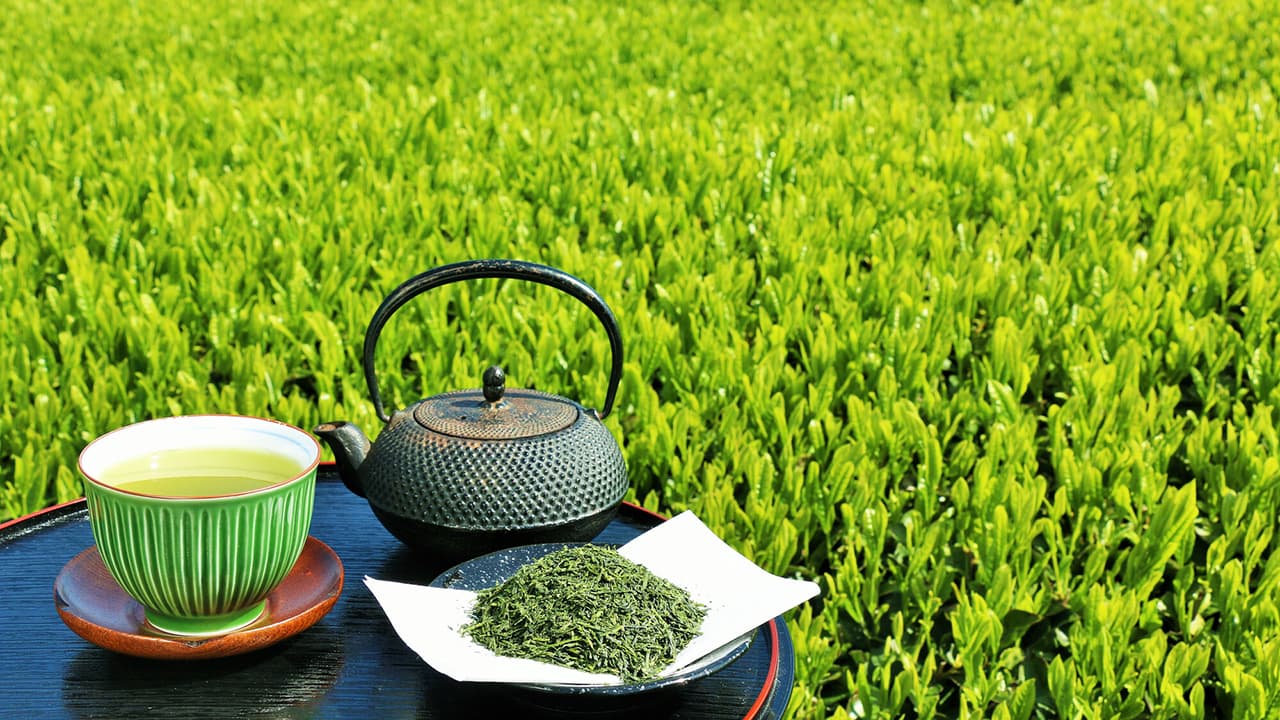 抹茶新茶の日（5月22日）｜意味や由来・広報PRに活用するポイントと事例を紹介