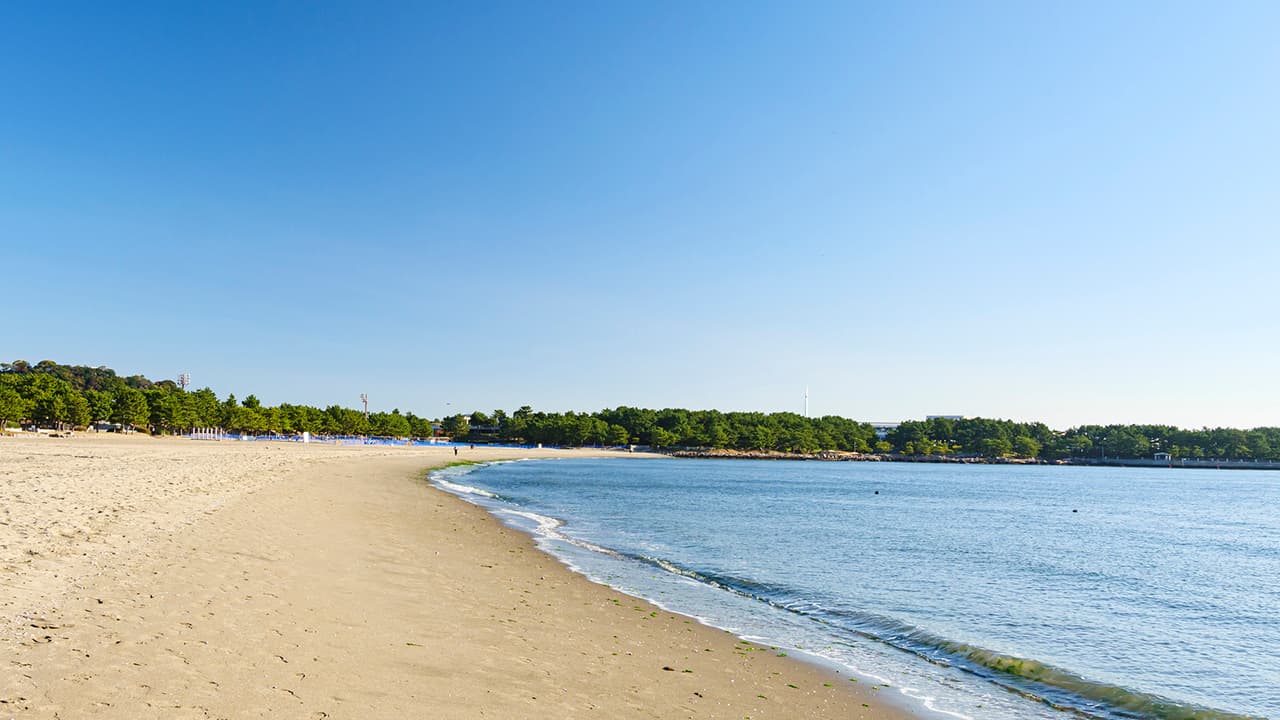 海の日（7月第3月曜日）｜意味や由来・広報PRに活用するポイントと事例を紹介