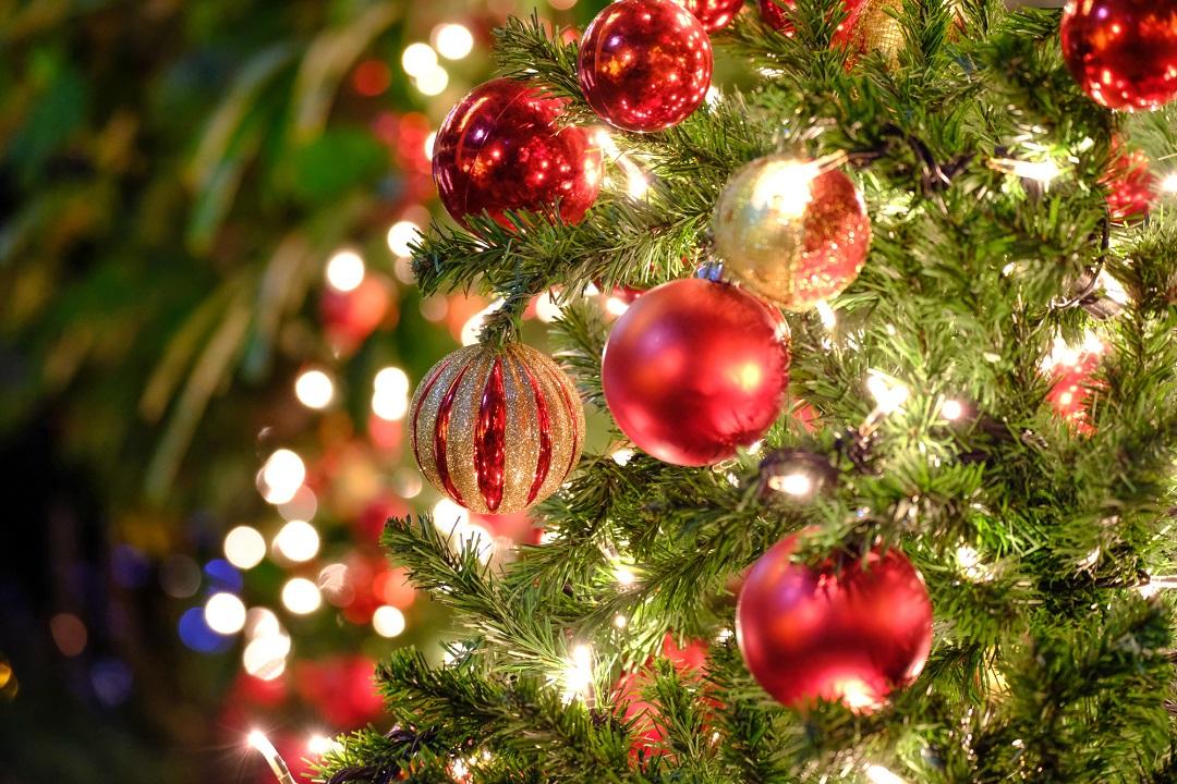 クリスマスツリーの日（12月7日）｜意味や由来・広報PRに活用するポイントや事例を紹介