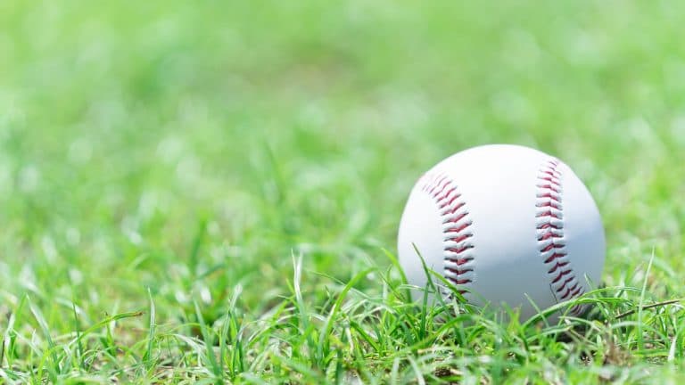 プロ野球誕生の日