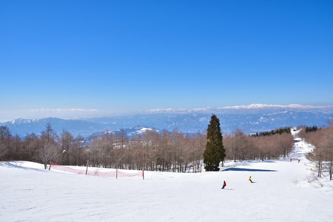 スキーの日／スキー記念日（1月12日）｜意味や由来・広報PRに活用するポイントや事例を紹介