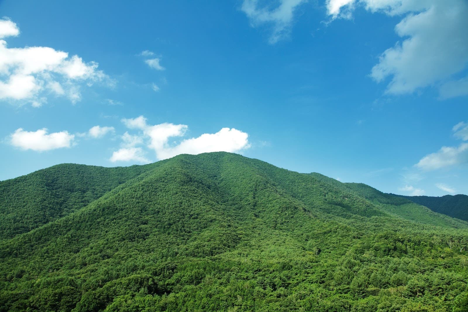 山の日（8月11日）｜意味や由来・広報PRに活用するポイントと事例を紹介