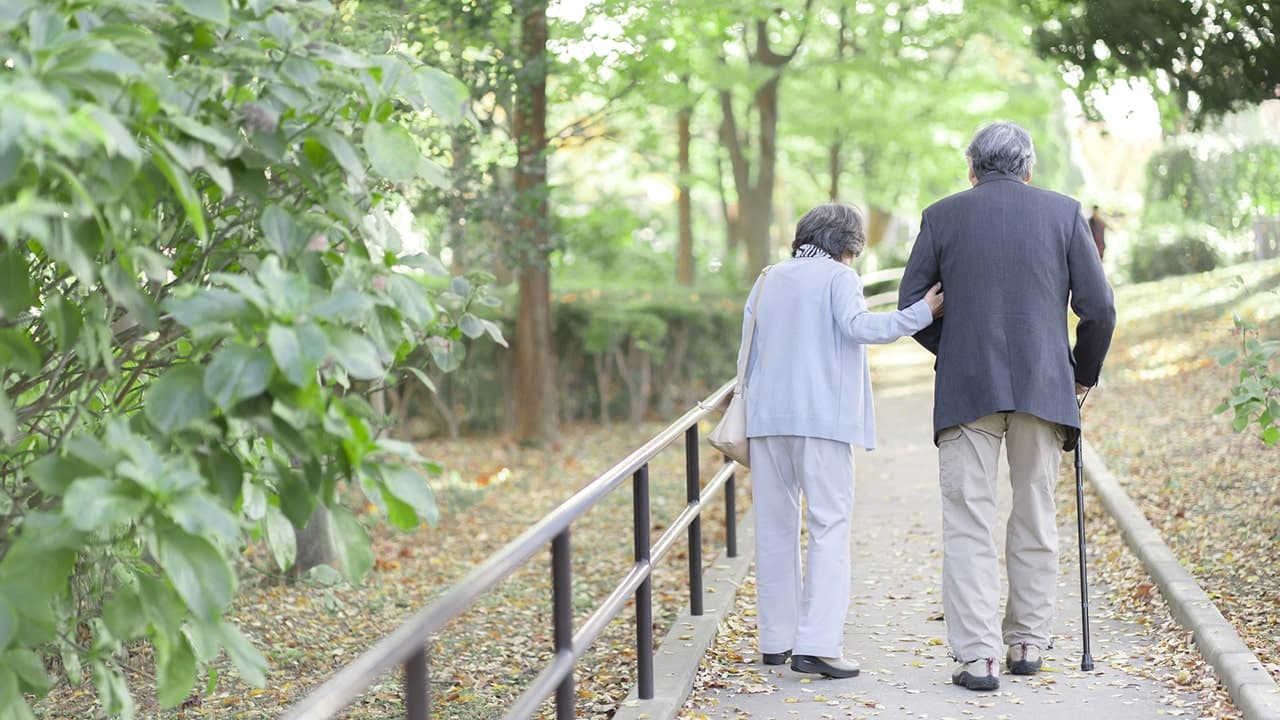 杖の日（12月12日）｜意味や由来・広報PRに活用するポイントと事例を紹介