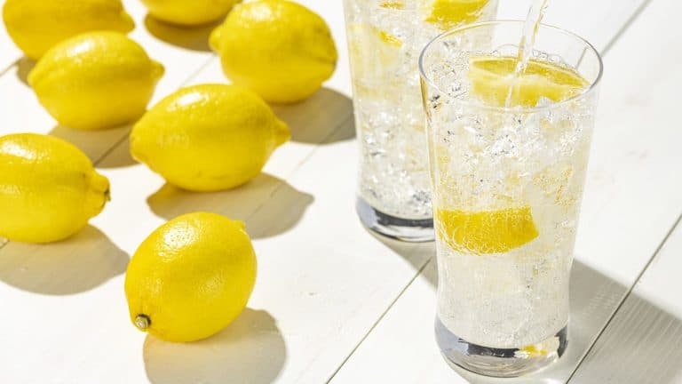 レモンサワーの日