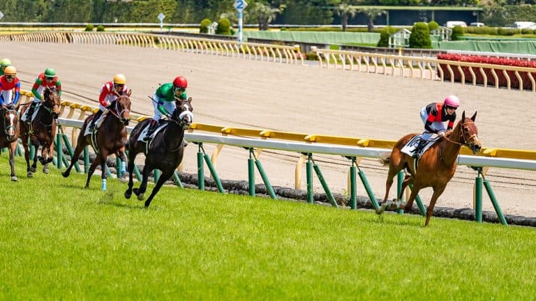 日本中央競馬会発足記念日