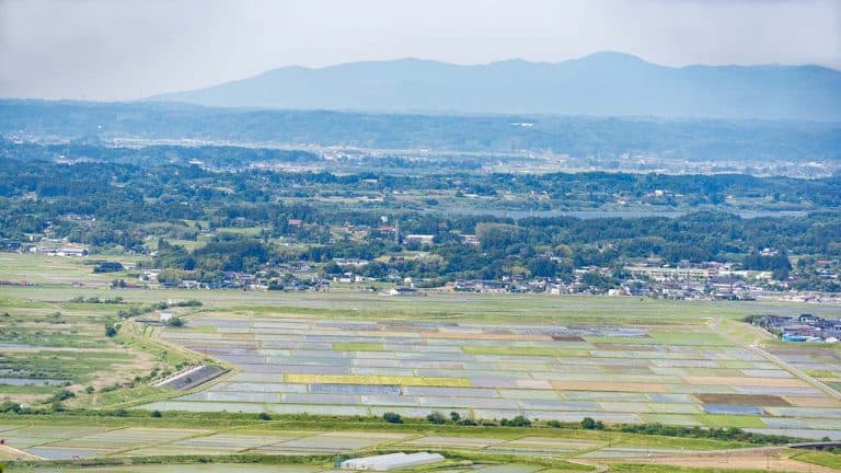 地方創生とは？プロジェクト事例7選から学ぶ、成功のポイントをわかりやすく解説