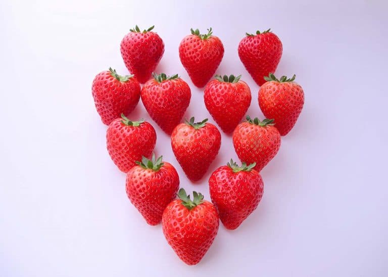 栃木県産いちご