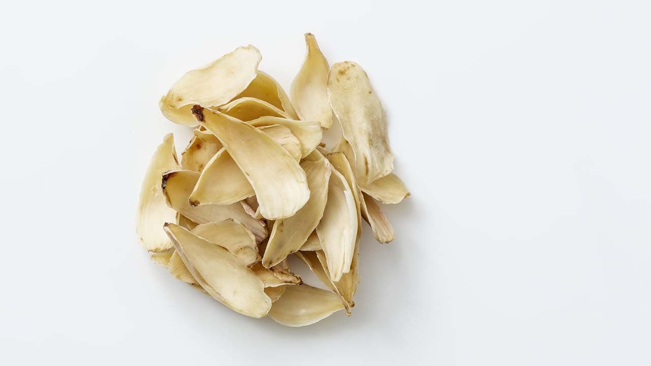 ゆり根の日(11月21日)|意味や由来・広報PRに活用するポイントと事例を紹介