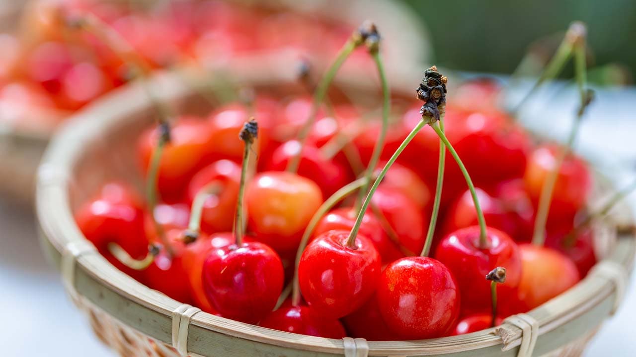 山形さくらんぼの日(6月6日)|意味や由来・広報PRに活用するポイントと事例を紹介