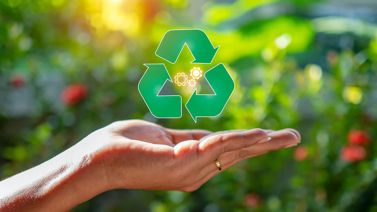 みんなでつくろう再エネの日(9月24日)|意味や由来・広報PRに活用するポイントと事例を紹介