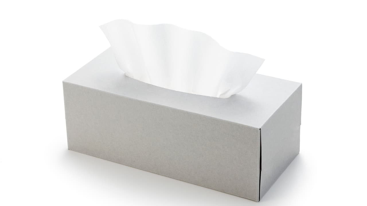 ティシューの日(10月4日)|意味や由来・広報PRに活用するポイントと事例を紹介