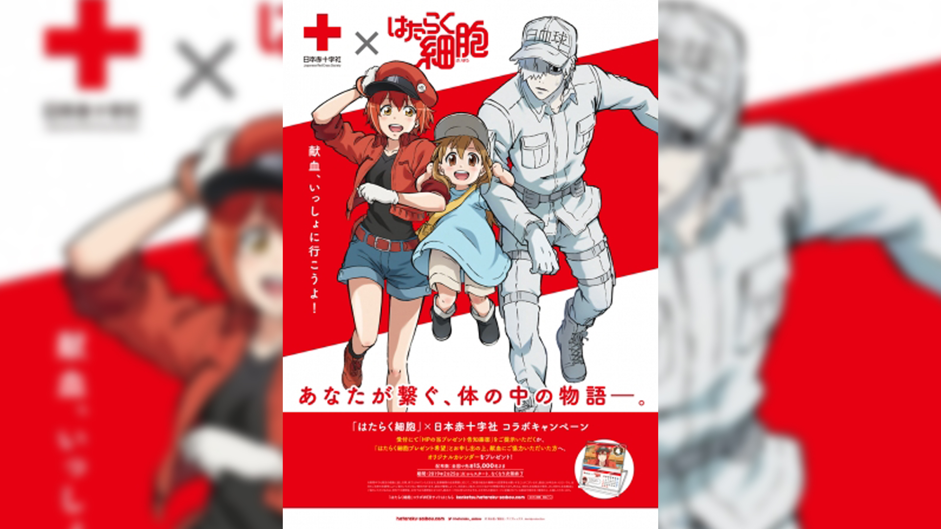 【日本赤十字社×はたらく細胞 コラボキャンペーン決定】他、新着トレンド2月19日