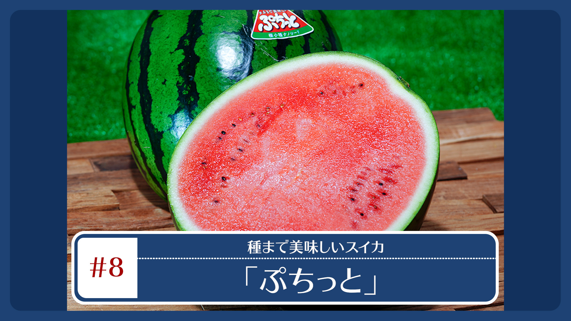 奈良・萩原農場が開発した最新品種のスイカ -タネまで美味しい「ぷちっと」- 各種ECサイトにて販売中！