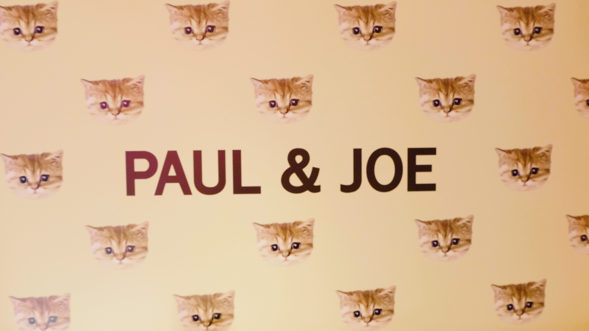 大人気のコスメブランド Paul Joe Beaute 期間限定ポップアップストア Paul Joe Neko Cafe 動画プレスリリース配信サービスのpr Times Tv 新着トレンドを動画でお届け