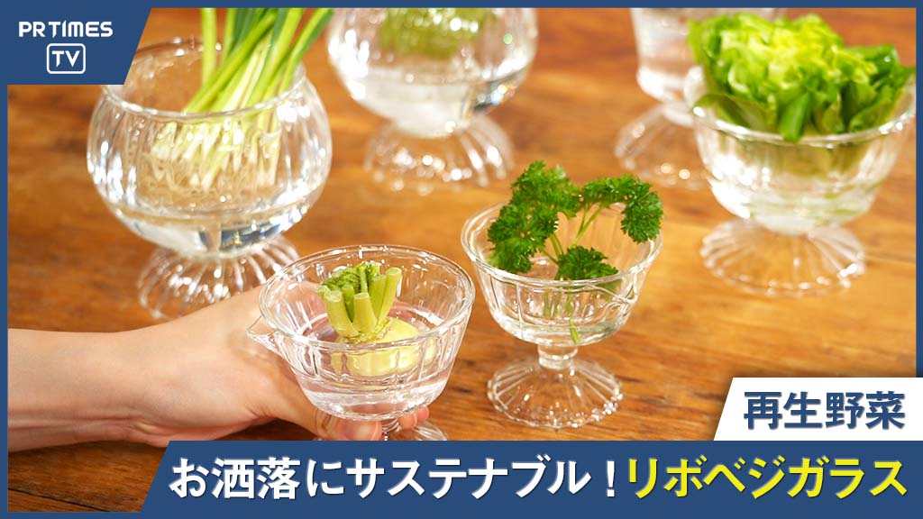 捨てる野菜がおしゃれなグリーンインテリアに様変わり！『再生野菜＝リボベジ』のために開発された「リボベジガラス」