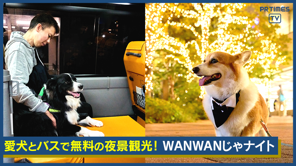 愛犬専用無料バス「ＷＡＮＷＡＮじゃナイト」運行開始！東京都心の煌めくイルミネーションを愛犬と楽しめる！